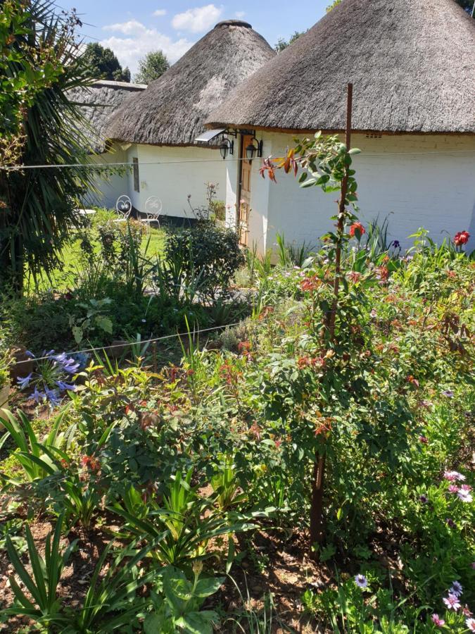 Piccadilly Farm Cottages Lions River Ngoại thất bức ảnh