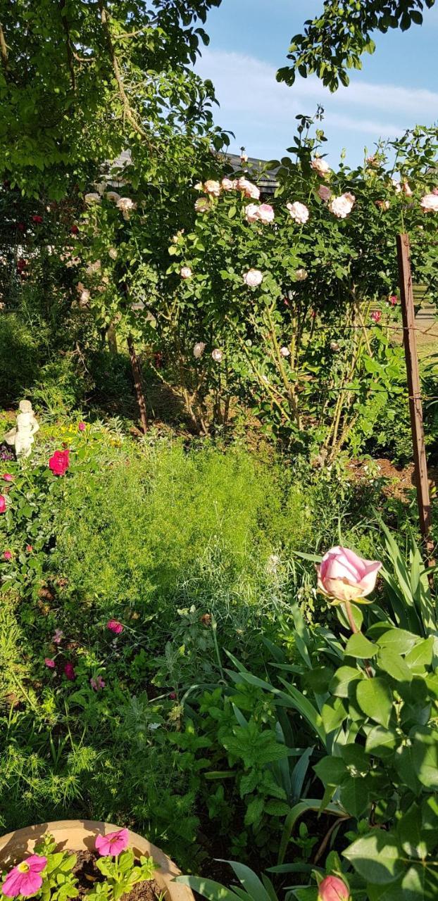Piccadilly Farm Cottages Lions River Ngoại thất bức ảnh