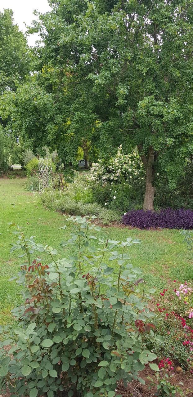Piccadilly Farm Cottages Lions River Ngoại thất bức ảnh