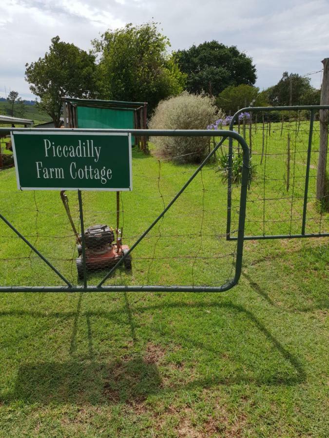 Piccadilly Farm Cottages Lions River Ngoại thất bức ảnh